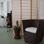 Fotografia ambulancie