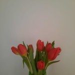 Fotografia ambulancie