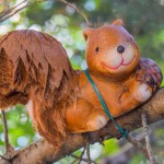 Fotografia ambulancie