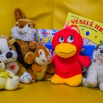 Fotografia ambulancie