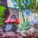 Fotografia ambulancie