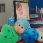 Fotografia ambulancie